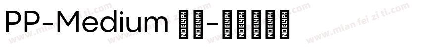 PP-Medium 常规字体转换